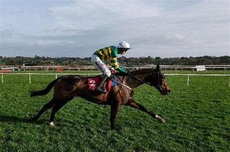 brown advisory novices chase 2024|Brown Advisory Novices' Chase 2024 .